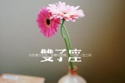 挽回双子男心的有效方法（从了解双子男开始，让他重新爱上你）