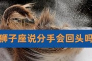 如何挽回狮子座友谊（建立互相尊重的友情关系）