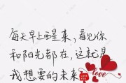 520表白情话短句大全，让TA感受浓浓爱意！（15个十字以内的表白短句，快来选一个吧！）