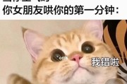 女朋友生气了怎么哄？（1个）