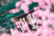 揭秘命中注定的人出现预兆（解读预兆的特点和含义，揭开命运的面纱）