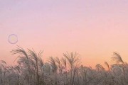 挽回男友的最佳礼物清单（用心选礼物，重燃爱火）