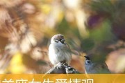 白羊男的魅力星座解析（白羊男的魅力星座解析）