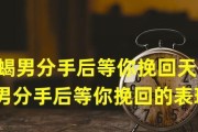 如何成功挽回天蝎男？（全方位分析天蝎男心理，为你揭开挽回成功的秘诀！）