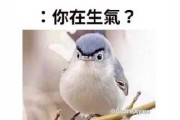 可得性启发的奥秘（探究学习中的有效策略与技巧）