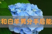 如何挽回跟射手男说了狠话的关系（以真诚和理解化解误会，重建信任）