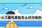小三与老婆的区别及对付小三的方法（如何处理与小三相处的情况）