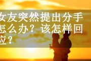 挽回女友的浪漫秘籍（让浪漫成为我们的语言，重修爱情大厦）