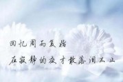 婚姻失望心酸，如何走出阴影？（探究婚姻失望的原因与应对方法）
