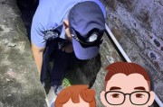 离家出走的孩子怎么办？如何解决离家出走的问题？
