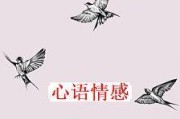 挽回感情的错与对（当爱已成往事，如何面对？）