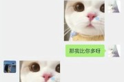 如何挽回女人？——从如何与网恋女友分手开始（网恋女友不再适合你？教你优雅分手的技巧与细节）