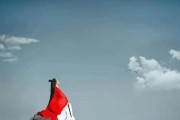 爱情路上的迷茫与不安（如何寻找安全感并继续前行？）