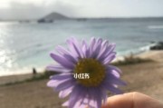 以情人不想和我继续下去，如何继续保持关系？（借助沟通技巧和共同兴趣，保持友好关系）