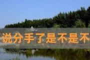 如何以双鱼男的方式挽回吵架后的好感（察觉情绪、表达真实、包容理解、用行动表达、重塑互信）