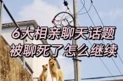 相亲攻略（如何在相亲中更好地聊天？）